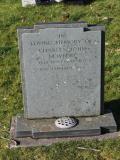 image of grave number 463411