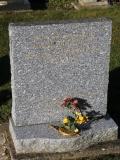image of grave number 463853