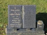 image of grave number 463857