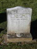 image of grave number 463914