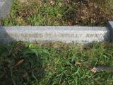 image of grave number 795561