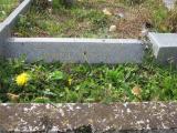 image of grave number 795561