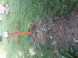 image of grave number 795610