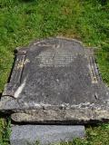 image of grave number 562896