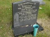 image of grave number 696114