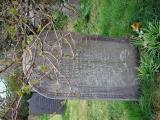 image of grave number 195856