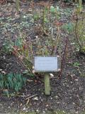 Rose Garden of Remembrance