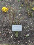 Rose Garden of Remembrance