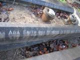 Scartho Road (5-8 13-16)