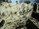 Scartho Road (north central reserved borders pt2)
