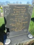 Scartho Road (north central reserved borders pt2)