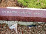 image of grave number 343150