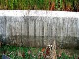 image of grave number 343383
