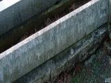 image of grave number 343505