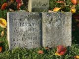 image of grave number 273952