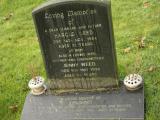 image of grave number 274038