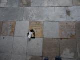 Lincoln Cathedral