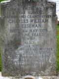 image of grave number 352337