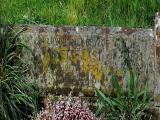 image of grave number 352793