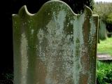 image of grave number 352769