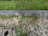 image of grave number 297424