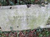 image of grave number 297494