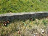 image of grave number 297530