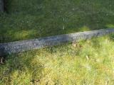 image of grave number 297368
