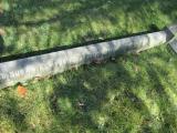 image of grave number 297379