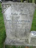 image of grave number 297862