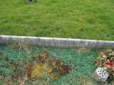 image of grave number 298019