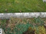 image of grave number 298019