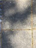 image of grave number 752401