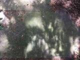 image of grave number 752430