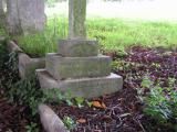 image of grave number 241155