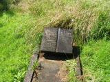 image of grave number 241180