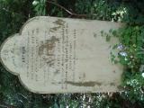 Abney Park