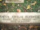 image of grave number 31973