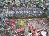 image of grave number 324500