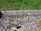 image of grave number 324549
