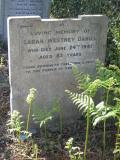 image of grave number 324556