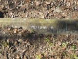 image of grave number 324660