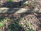 image of grave number 324660