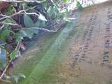 image of grave number 325136