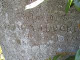 image of grave number 325240