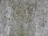 image of grave number 324957