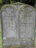 image of grave number 324987