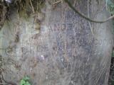 image of grave number 325016