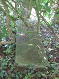 image of grave number 325046