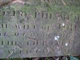 image of grave number 325046